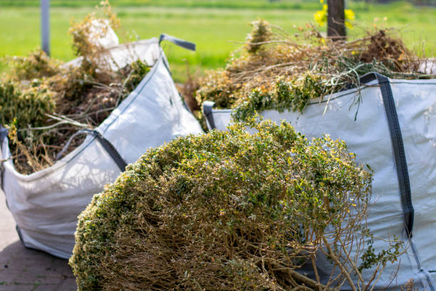 Best Yard Waste Removal  in Hilton, NY